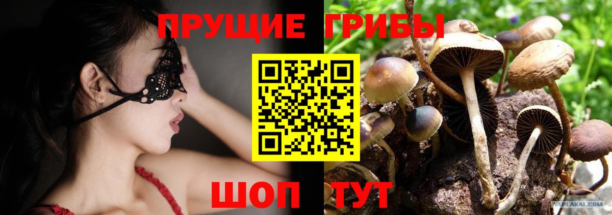 Фурманов  Галлюциногенные грибы Psilocybe  Вход с VPN 